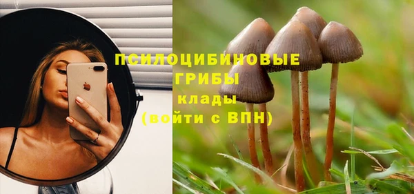 гидра Гусиноозёрск