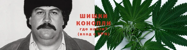 кокаин Горнозаводск