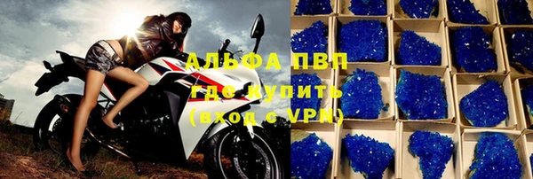 PSILOCYBIN Горно-Алтайск