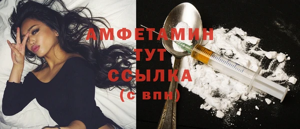 гидра Гусиноозёрск