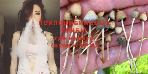 кокаин Горнозаводск